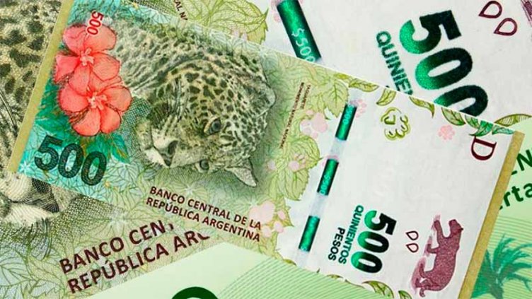 Microcréditos y otras medidas: De dónde saldría el dinero para la