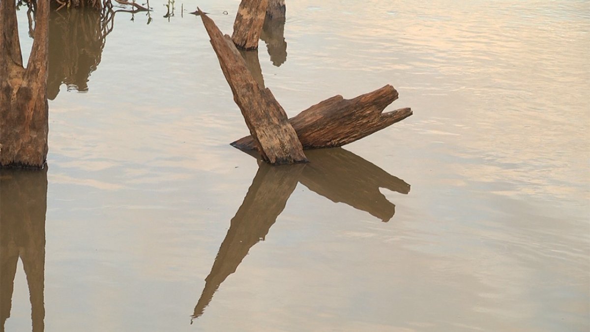 La bajante en el Puerto de Paraná.